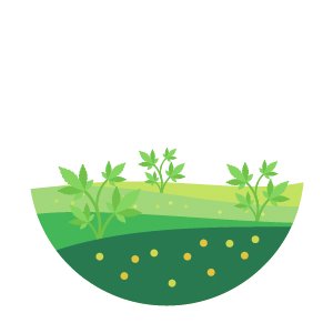 Где растет дикая конопля и как ее вырастить